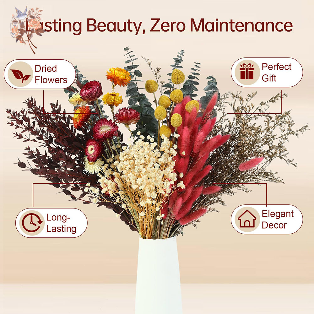 Набор сухоцветов оптом, 7 видо – обзор и цена Florist Supply Bulk