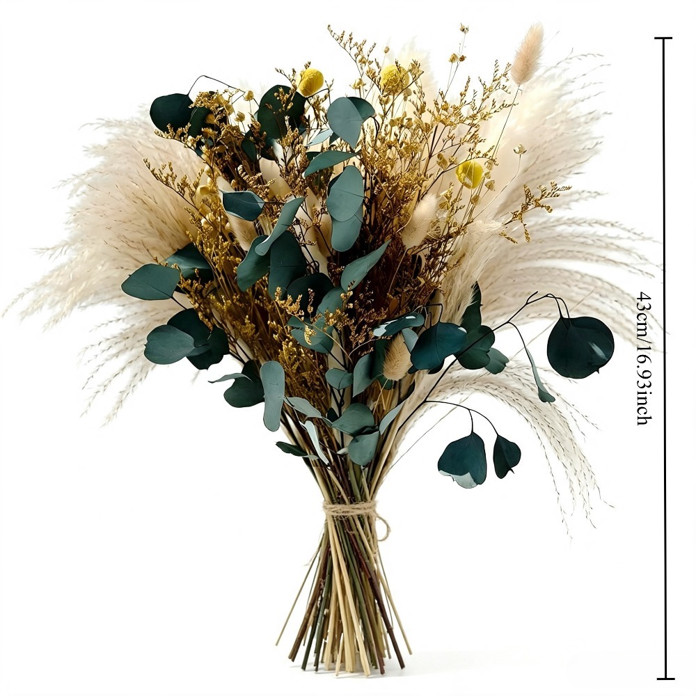 Натуральный сухой букет из пам – обзор и цена Eucalyptus Preserved